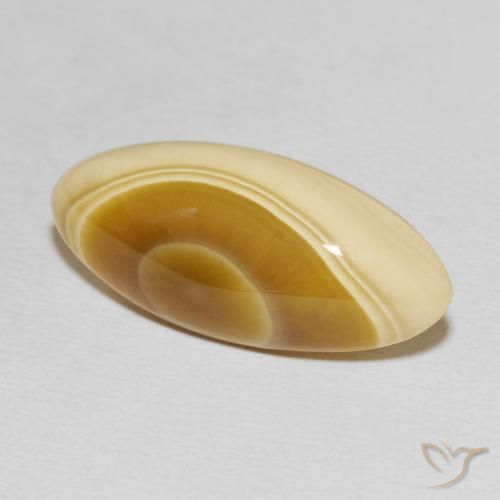Ágata Multicolor natural de 14.81 ct, Marquesa, Opaco