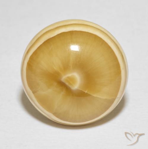 19.82ct Natural Multicolor Ágata, Redondo, Opaco