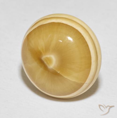Ágata Multicolor natural de 19.82 ct, Redondo, Opaco