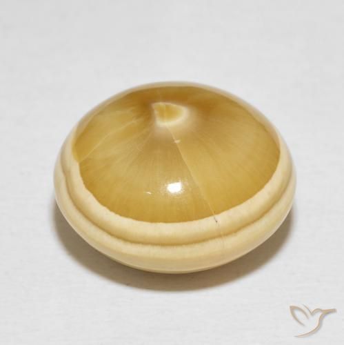 Ágata Multicolor natural de 19.82 ct, Redondo, Opaco