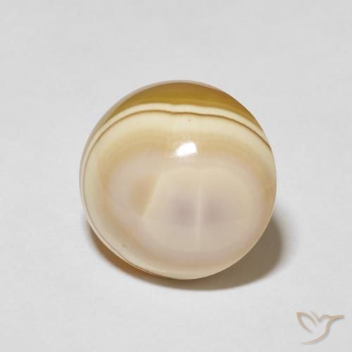 Ágata Multicolor natural de 15.87 ct, Ovalada, Opaco