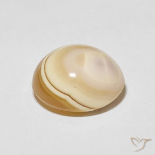 Ágata Multicolor natural de 15.87 ct, Ovalada, Opaco