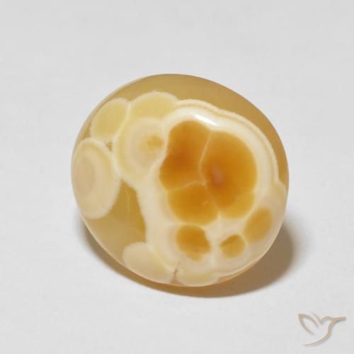 Ágata Multicolor natural de 14.33 ct, Ovalada, Opaco