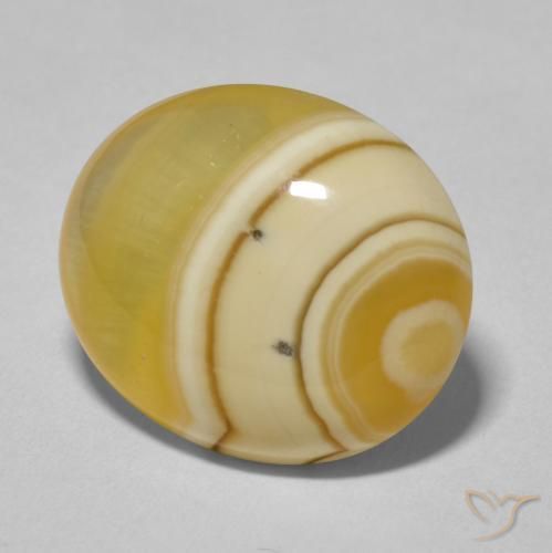 Ágata Multicolor natural de 12.25 ct, Ovalada, Opaco