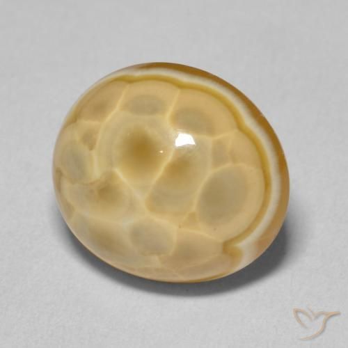 Ágata Multicolor natural de 11.80 ct, Ovalada, Opaco