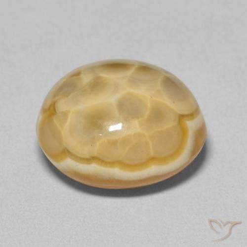 Ágata Multicolor natural de 11.80 ct, Ovalada, Opaco