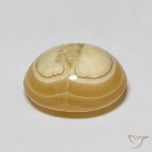 Ágata Multicolor natural de 11.61 ct, Ovalada, Opaco