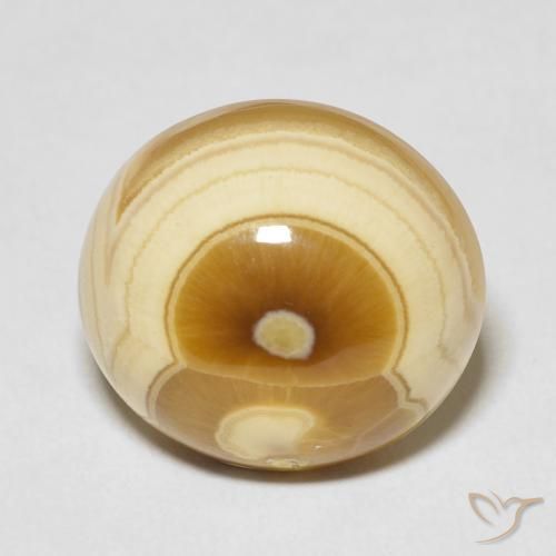 19.18ct Natural Multicolor Ágata, Ovalada, Opaco
