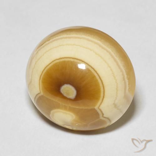 Ágata Multicolor natural de 19.18 ct, Ovalada, Opaco