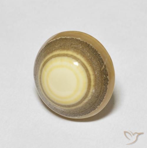 Ágata Multicolor natural de 10.03 ct, Redondo, Opaco