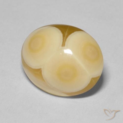 Ágata Multicolor natural de 12.11 ct, Ovalada, Opaco