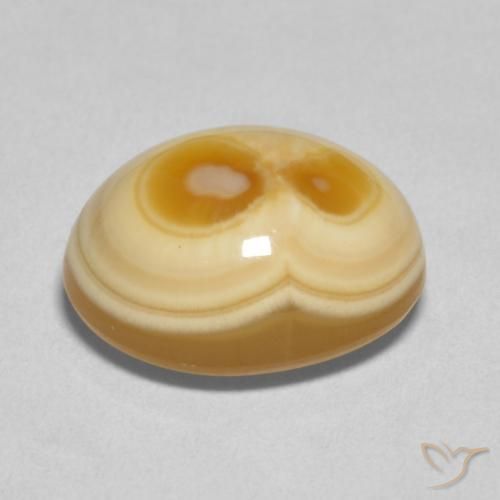 Ágata Multicolor natural de 8.91 ct, Ovalada, Opaco