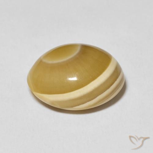 Ágata Multicolor natural de 8.59 ct, Ovalada, Opaco