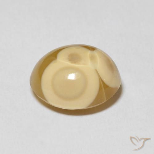 Ágata Multicolor natural de 7.16 ct, Ovalada, Opaco