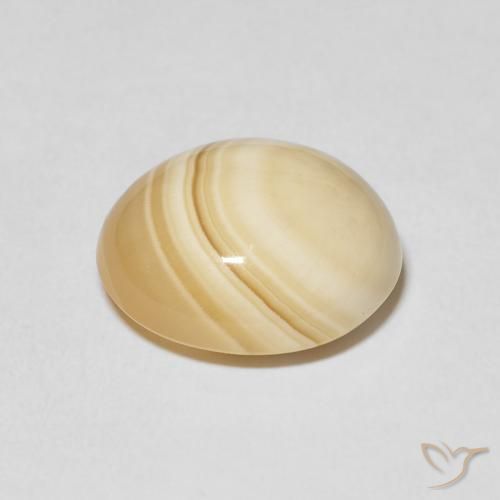 Ágata Multicolor natural de 11.61 ct, Ovalada, Opaco