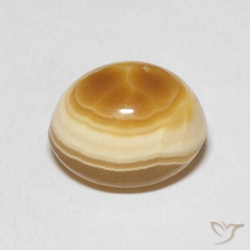Ágata Multicolor natural de 6.50 ct, Ovalada, Opaco