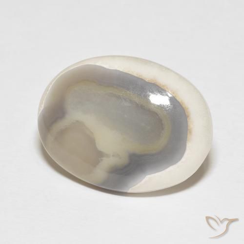 Ágata Blanco multicolor natural de 13.26 ct, Ovalada, Opaco