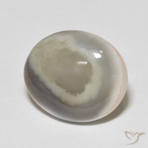 Ágata Multicolor natural de 11.77 ct, Ovalada, Opaco