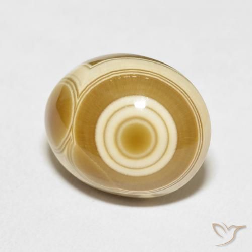 Ágata Multicolor natural de 11.77 ct, Ovalada, Opaco