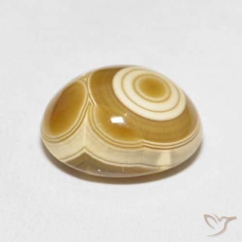 Ágata Multicolor natural de 11.77 ct, Ovalada, Opaco