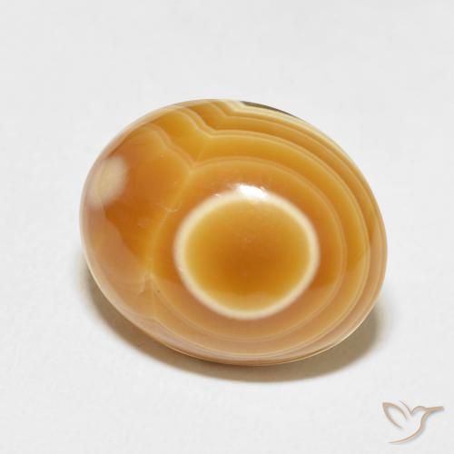 Ágata Multicolor natural de 10.98 ct, Ovalada, Opaco