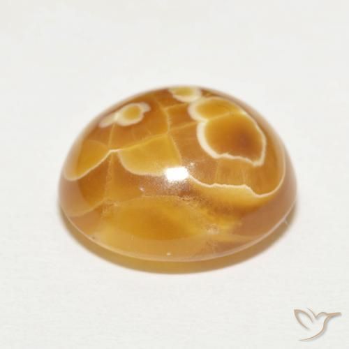 Ágata Multicolor natural de 12.81 ct, Ovalada, Opaco