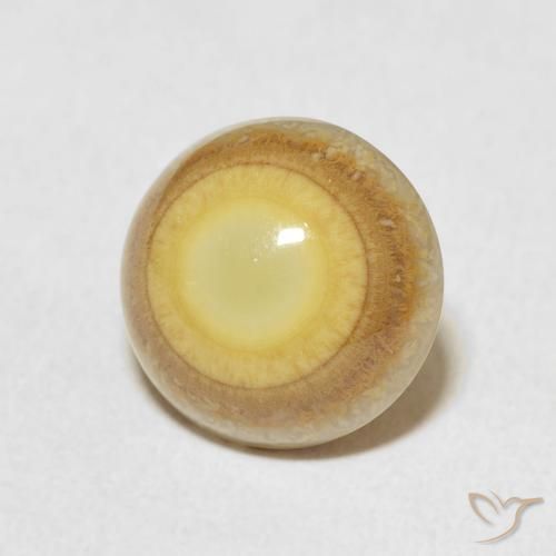 Ágata Multicolor natural de 4.88 ct, Redondo, Opaco