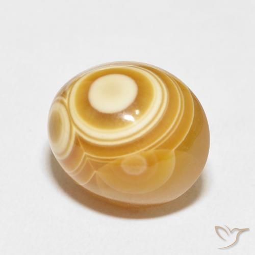 Ágata Multicolor natural de 16.20 ct, Ovalada, Opaco