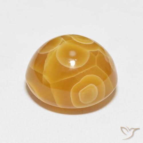 Ágata Multicolor natural de 18.75 ct, Ovalada, Opaco