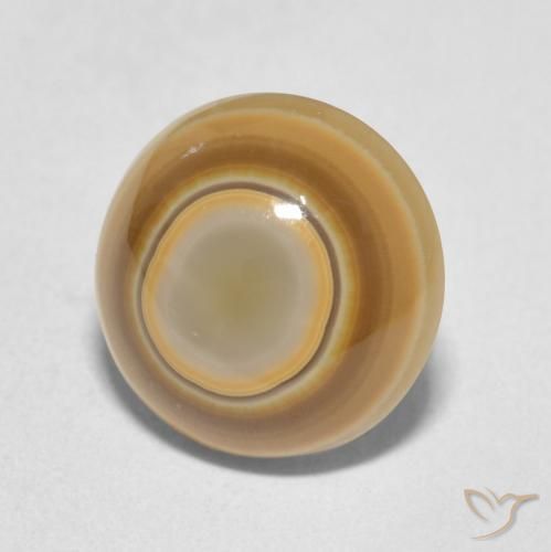 Ágata Multicolor natural de 4.89 ct, Redondo, Opaco