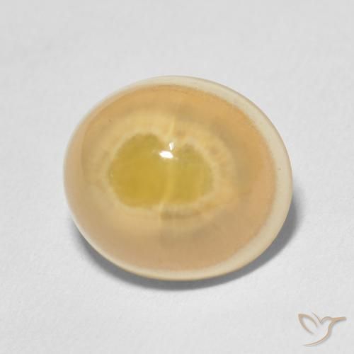 Ágata Multicolor natural de 7.51 ct, Ovalada, Opaco