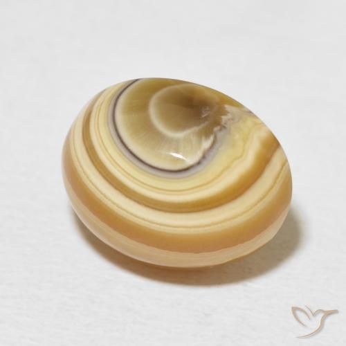 Ágata Multicolor natural de 8.72 ct, Ovalada, Opaco