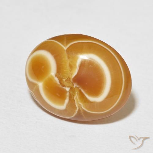 Ágata Multicolor natural de 11.32 ct, Ovalada, Opaco