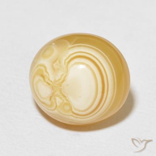 Ágata Multicolor natural de 11.90 ct, Ovalada, Opaco