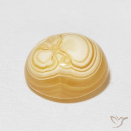 Ágata Multicolor natural de 11.90 ct, Ovalada, Opaco