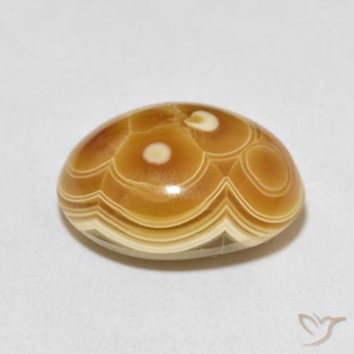 Ágata Multicolor natural de 12.06 ct, Ovalada, Opaco