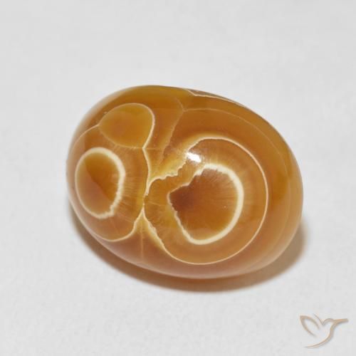 Ágata Multicolor natural de 18.67 ct, Ovalada, Opaco