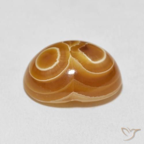 Ágata Multicolor natural de 18.67 ct, Ovalada, Opaco