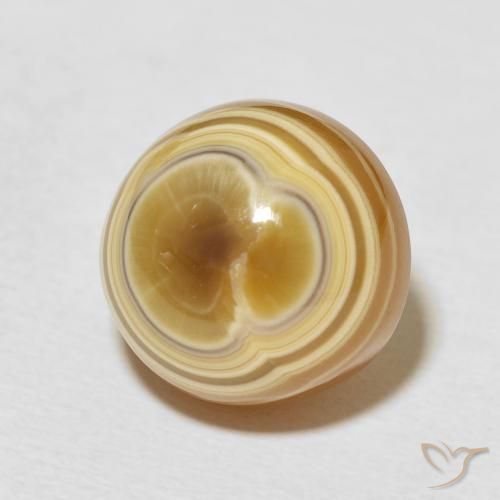 Ágata Multicolor natural de 16.93 ct, Redondo, Opaco
