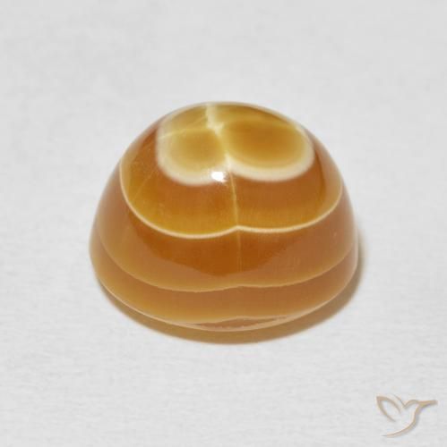 Ágata Multicolor natural de 11.30 ct, Ovalada, Opaco