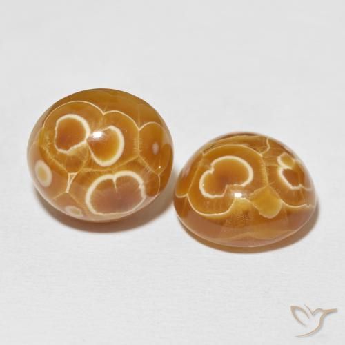 Gemas de Ágata Multicolor natural de 33.49 ct, Ovalada, Opaco