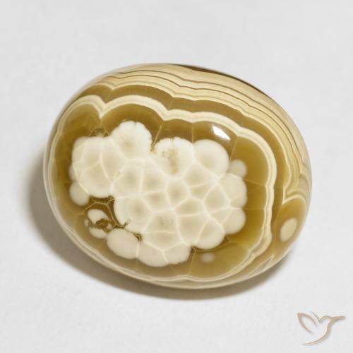 Ágata Multicolor natural de 100.81 ct, Ovalada, Opaco