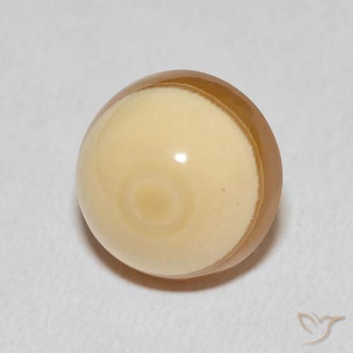 Ágata Multicolor natural de 13.48 ct, Redondo, Opaco