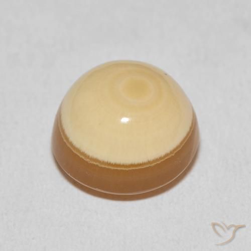 Ágata Multicolor natural de 13.48 ct, Redondo, Opaco