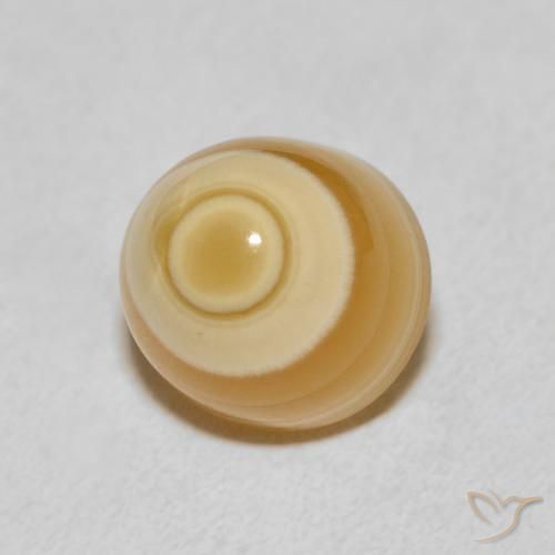 Ágata Multicolor natural de 8.00 ct, Elegante, Opaco