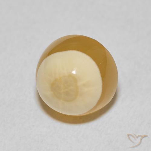 Ágata Multicolor natural de 6.83 ct, Redondo, Opaco