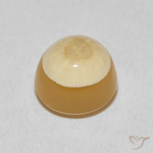Ágata Multicolor natural de 6.83 ct, Redondo, Opaco