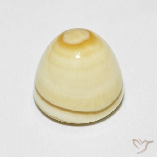 Ágata Multicolor natural de 15.45 ct, Elegante, Opaco