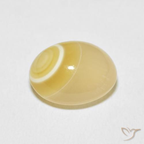 Ágata Multicolor natural de 9.44 ct, Ovalada, Opaco