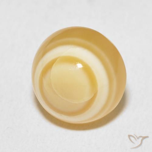 Ágata Multicolor natural de 8.64 ct, Redondo, Opaco